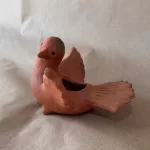 pigeon 00222
