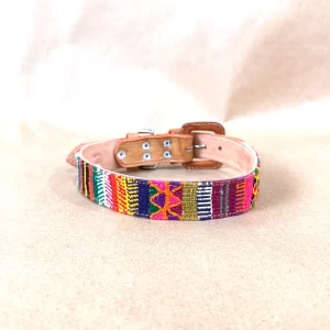dog collar K5606